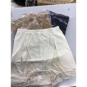 Rhonda shear pin up briefs 4 pack XL new from HSN high rise ruched lace